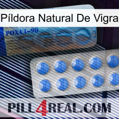 Píldora Natural De Vigra 40